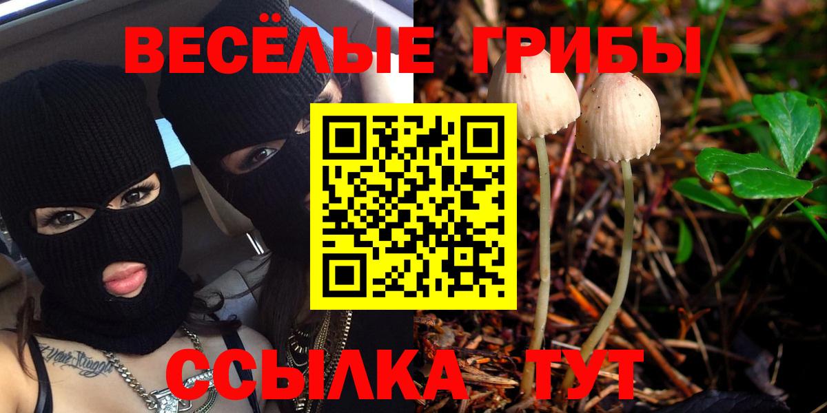 Псилоцибиновые грибы мицелий Новотроицк