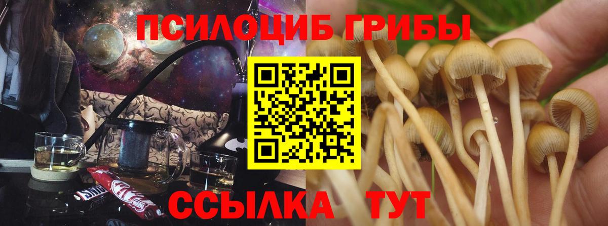 Новотроицк  Псилоцибиновые грибы GOLDEN TEACHER  Вход с VPN  Галлюциногенные грибы Magic Shrooms 